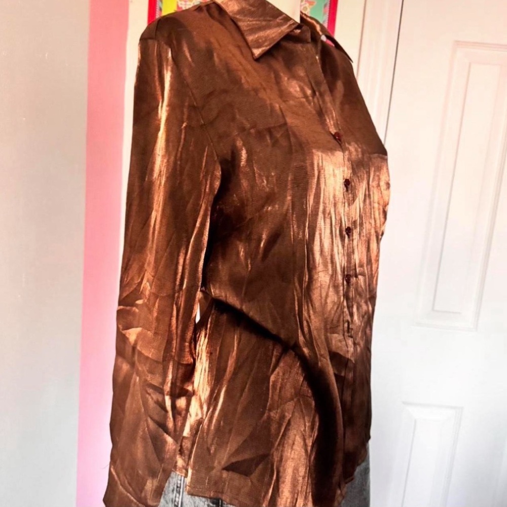 Fred David Shimmering Brown Blouse - Picture 3 of 5